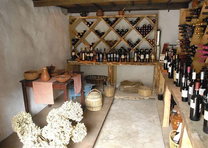 埃斯昆纳斯4号乡村酒店 酒店 圣米格尔德阿沃纳