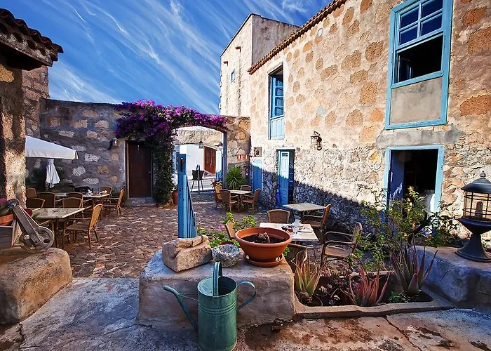 埃斯昆纳斯4号乡村酒店 酒店 圣米格尔德阿沃纳