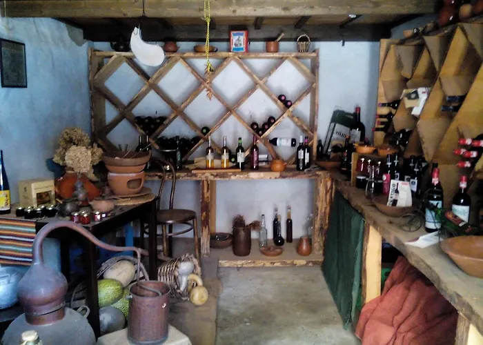 埃斯昆纳斯4号乡村酒店 4* 圣米格尔德阿沃纳